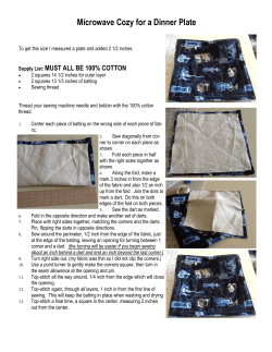 Microwave Cozy for a Dinner Plate