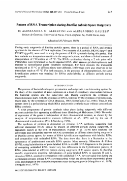 Pattern of RNA Transcription during Bacillus subtilis