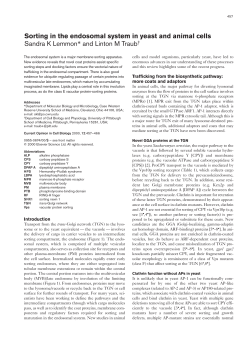 Sorting in the endosomal system in yeast and animal cells Sandra K