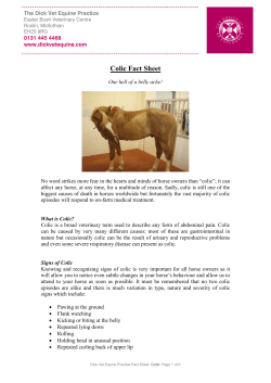 Colic Fact Sheet