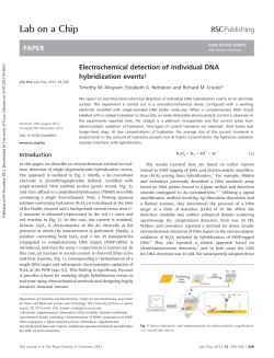 Electrochemical Detection of Individual DNA Hybridization Events
