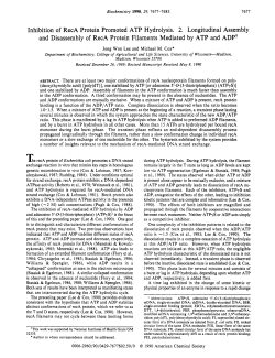 Inhibition of RecA protein promoted ATP hydrolysis. 2. Longitudinal