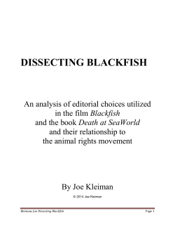 Dissecting Blackfish