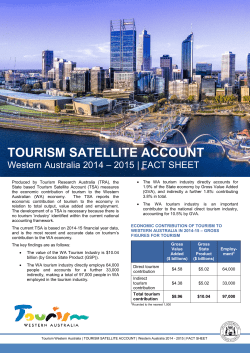 TOURISM SATELLITE ACCOUNT
