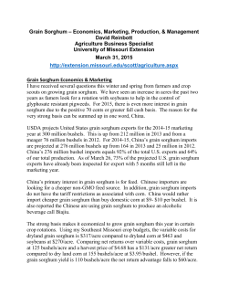 Grain Sorghum - University of Missouri Extension