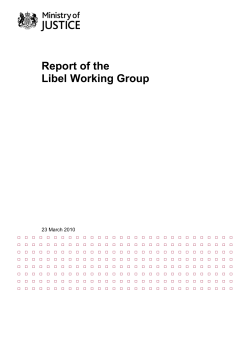 Report of the Libel Working Group