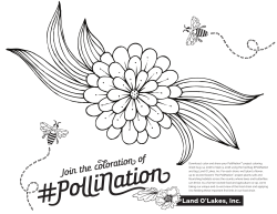 Join the coloration of