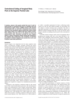 PDF - Oxford Academic - Oxford University Press