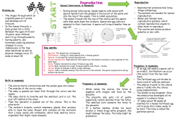 Science Year 7 Learn Sheet DC4 – Reproduction
