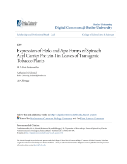 Expression of Holo and Apo Forms of Spinach Acyl Carrier Protein