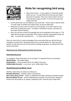 Hints for recognising bird song