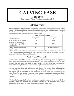 2005 June Calves and Water - Attica Veterinary Associates