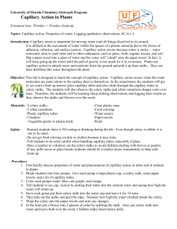 Capillary Action in Plants