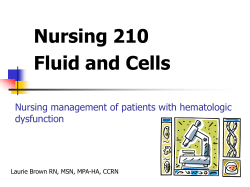 Development of Blood cells