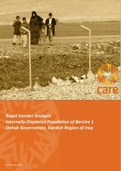 Rapid Gender Analysis Internally Displaced Population of Bersive 1