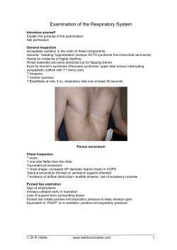 Examination of the Respiratory System