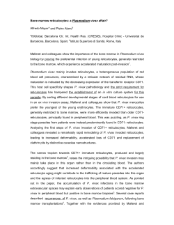 Bone marrow reticulocytes - Dip&ograve;sit Digital de la Universitat de