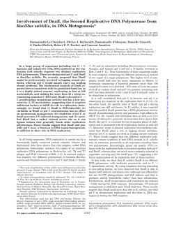 Involvement of DnaE, the Second Replicative DNA Polymerase from
