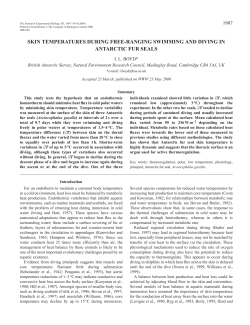 Skin temperatures in fur seals - Journal of Experimental Biology