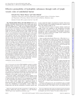 Effective permeability of hydrophilic substances through walls of