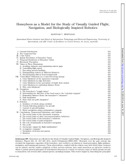 Honeybees as a Model for the Study of Visually Guided Flight