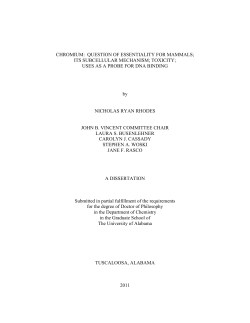 Mass Spectroscopic Studies of the Nutritional Supplement