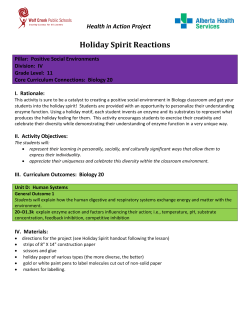 Holiday Spirit Reactions