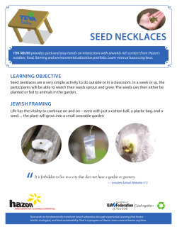 seed necklaces