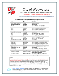 Fall Leaf Collection