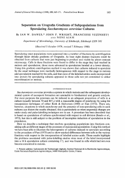 Sporulating Saccharomyces cerevisiae Cultures