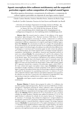 Aquatic macrophytes drive sediment stoichiometry and
