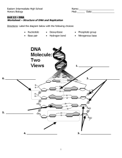 DNA Strucuture and Replication