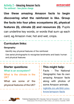 Activity 2 - Amazing Amazon facts