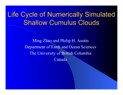 Life Cycle of Numerically Simulated Shallow Cumulus Clouds