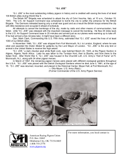 G.I. JOE - American Racing Pigeon Union