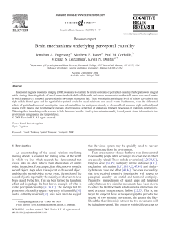 Brain mechanisms underlying perceptual causality