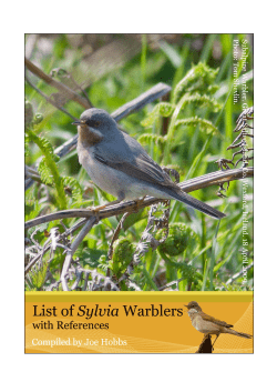 Untitled - Dutch Birding