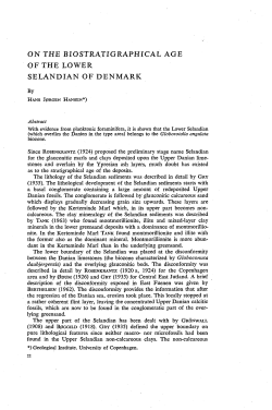 as a PDF