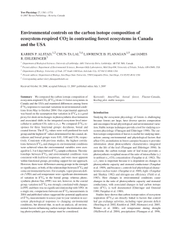 Environmental controls on the carbon isotope composition of
