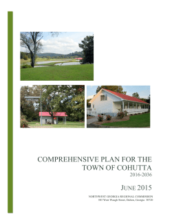 Plan Update - Georgia Department of Community Affairs