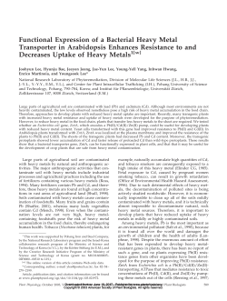 Functional Expression of a Bacterial Heavy Metal