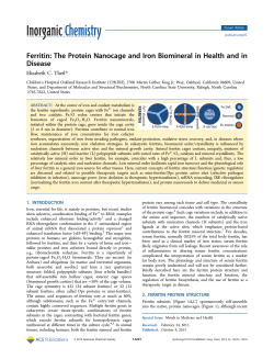 Ferritin: The Protein Nanocage and Iron Biomineral in Health and in