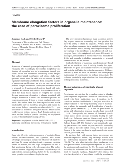 Membrane elongation factors in organelle maintenance: the case of