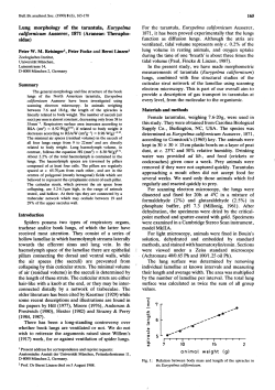 PDF available