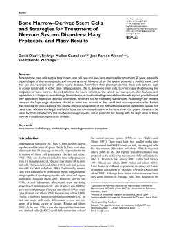Bone Marrow&ndash;Derived Stem Cells and Strategies for Treatment of