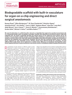 Biodegradable scaffold with built-in vasculature for organ-on-a