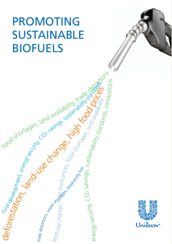 Promoting Sustainable Biofuels
