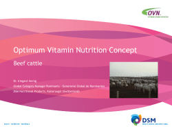Optimum Vitamin Nutrition Concept