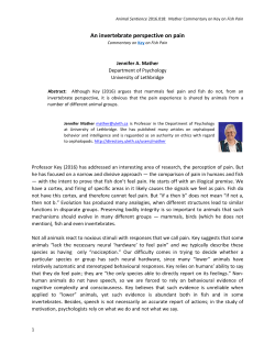 An invertebrate perspective on pain