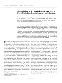 Cells Differ in Size, Granularity, and Insulin Secretion